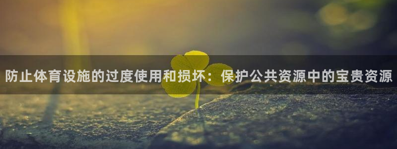 海南意昂体育4：防止体育设施的过度使用和损坏：保护公共资源中 