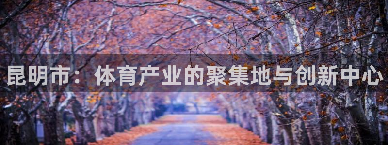 意昂体育4招商电话是多少号码：昆明市：体育产业的聚集
