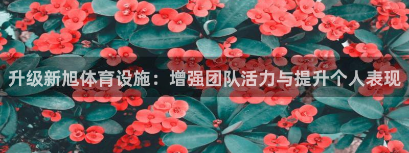 意昂体育4招商电话是多少号码：升级新旭体育设施：增强