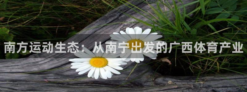 意昂体育4平台是正规平台吗：南方运动生态：从南宁出发