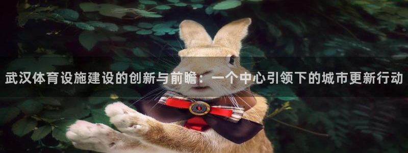 意昂4娱乐首页官网下载：武汉体育设施建设的创新与前瞻