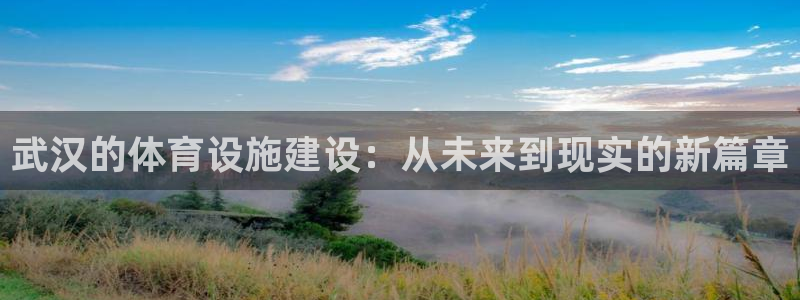 意昂体育4招商电话号码查询：武汉的体育设施建设：从未