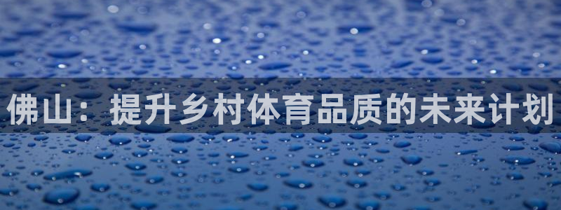 意昂体育4：佛山：提升乡村体育品质的未来计划