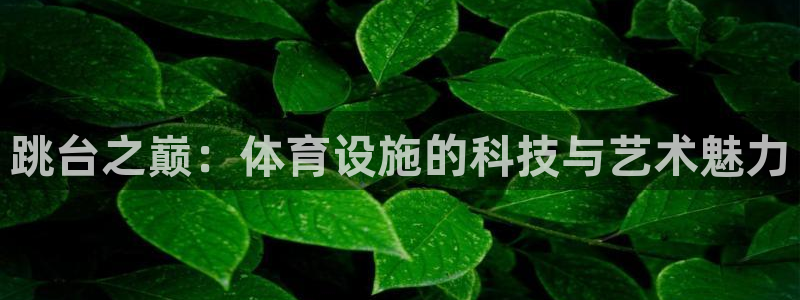 意昂4官网：跳台之巅：体育设施的科技与艺术魅力