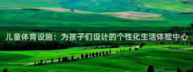 意昂体育4平台注册流程图：儿童体育设施：为孩子们设计的个性化