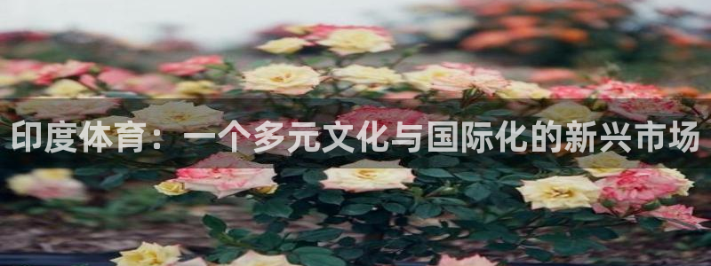 意昂体育4招商电话号码是多少号：印度体育：一个多元文化与国际