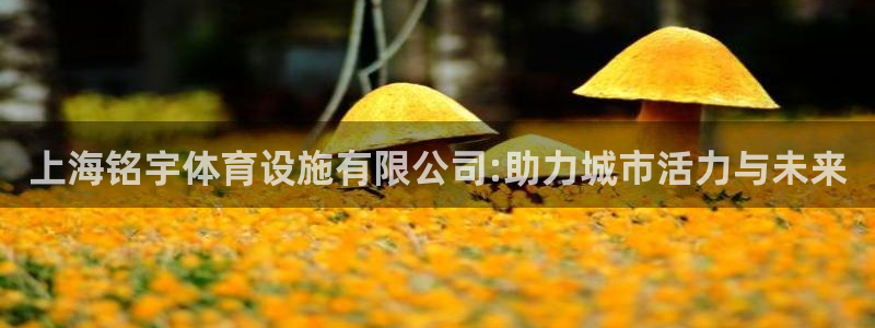 意昂体育4招商电话是多少：上海铭宇体育设施有限公司: