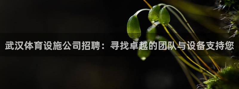 意昂体育4：武汉体育设施公司招聘：寻找卓越的团队与设