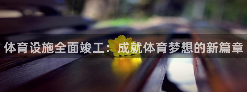 意昂体育4官方客服电话：体育设施全面竣工：成就体育梦