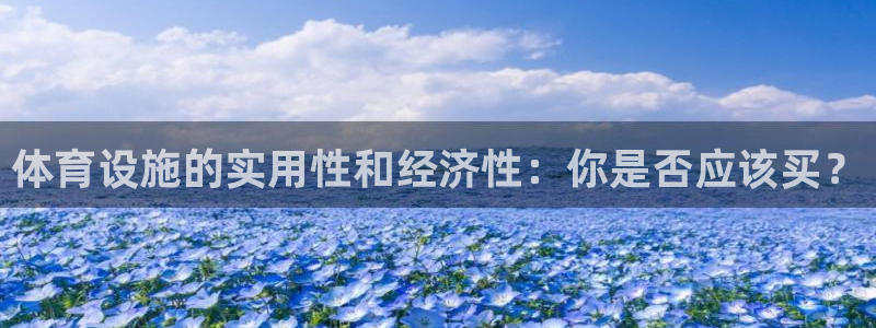 意昂4新能源：体育设施的实用性和经济性：你是否应该买