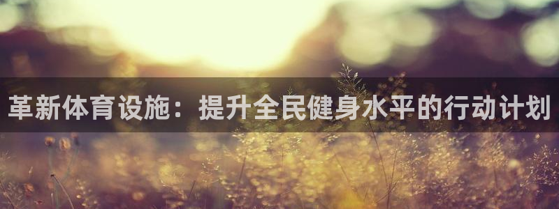 意昂体育4平台注册要钱吗安全吗：革新体育设施：提升全