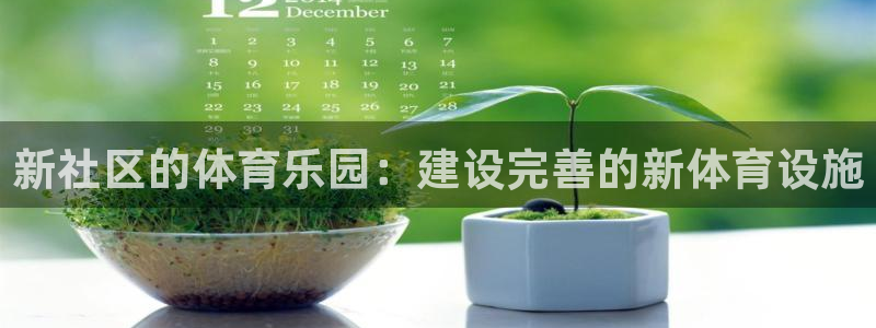 意昂体育4娱乐：新社区的体育乐园：建设完善的新体育设
