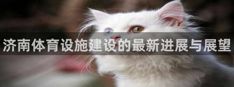 意昂体育4招商电话号码：济南体育设施建设的最新进展与