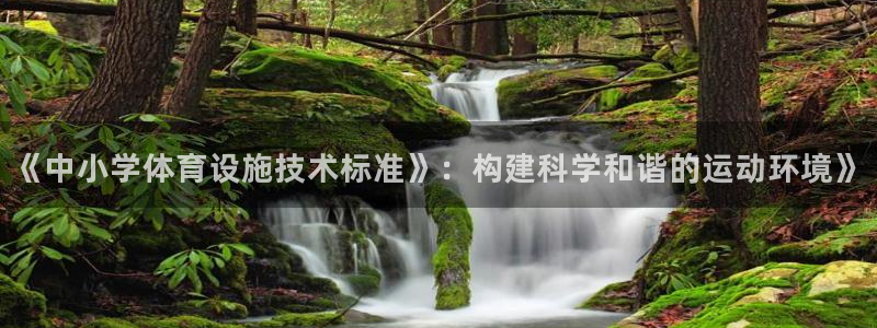 意昂体育4注册：《中小学体育设施技术标准》：构建科学和谐的运