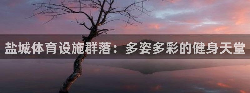 意昂体育4平台假的吗是真的吗：盐城体育设施群落：多姿