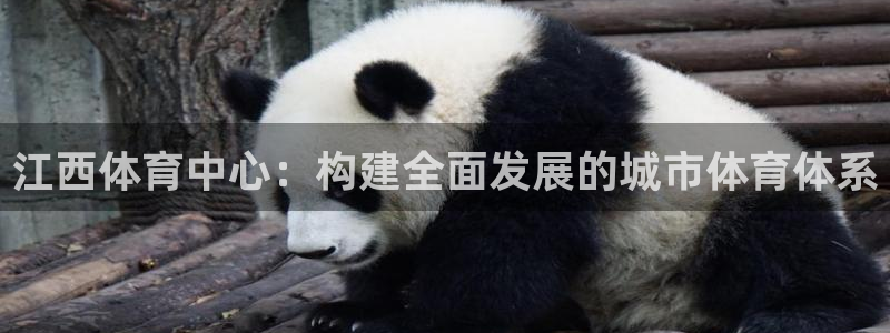 意昂4新能源：江西体育中心：构建全面发展的城市体育体