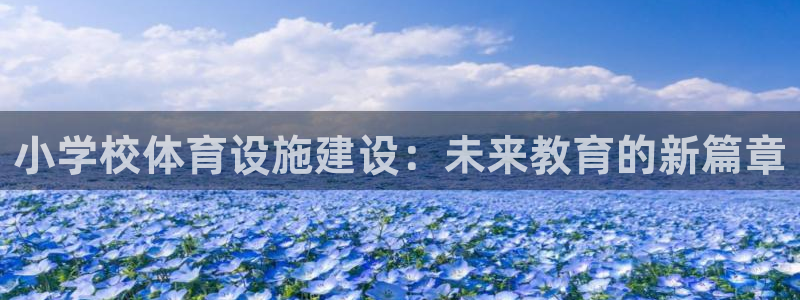 意昂体育4招商电话号码查询：小学校体育设施建设：未来
