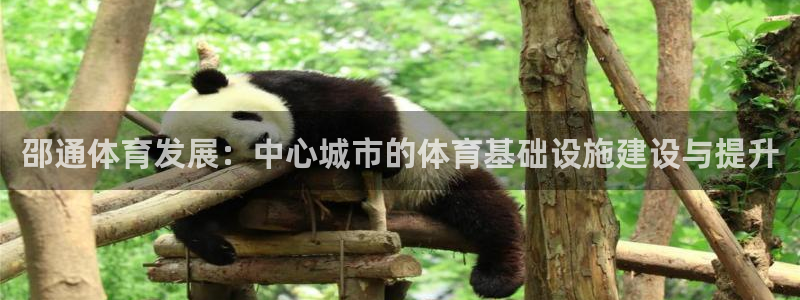 意昂体育4平台注册流程视频：邵通体育发展：中心城市的