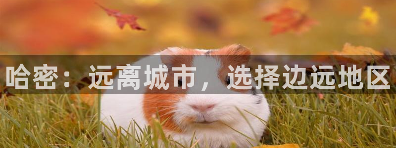 意昂4五金厂：哈密：远离城市，选择边远地区