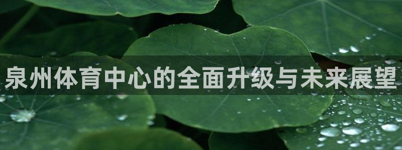 意昂4新能源：泉州体育中心的全面升级与未来展望