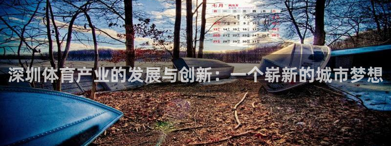意昂4集团：深圳体育产业的发展与创新：一个崭新的城市