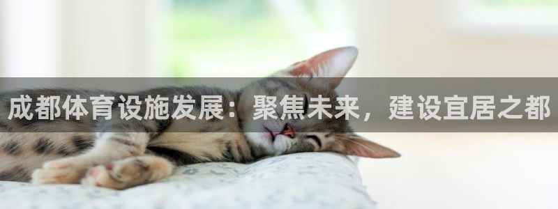 意昂4官网：成都体育设施发展：聚焦未来，建设宜居之都