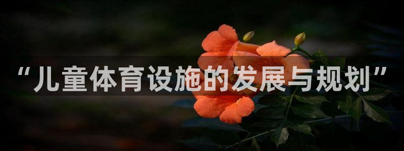 意昂4娱乐代理怎么样：“儿童体育设施的发展与规划”