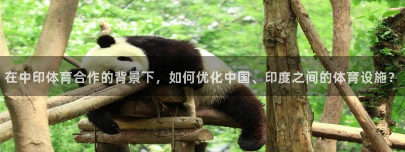 意昂体育4平台假的吗是真的吗：在中印体育合作的背景下