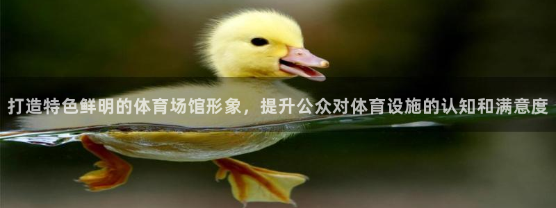 意昂体育4招商电话地址：打造特色鲜明的体育场馆形象，提升公众