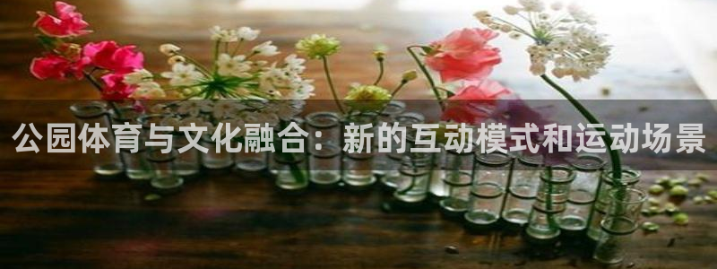 注册意昂4：公园体育与文化融合：新的互动模式和运动场景