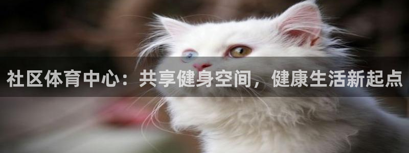 意昂体育4招商电话是多少：社区体育中心：共享健身空间