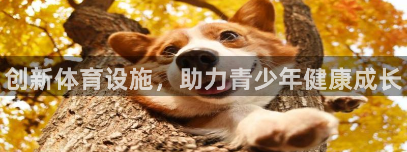 意昂体育4平台假的吗是真的吗：创新体育设施，助力青少