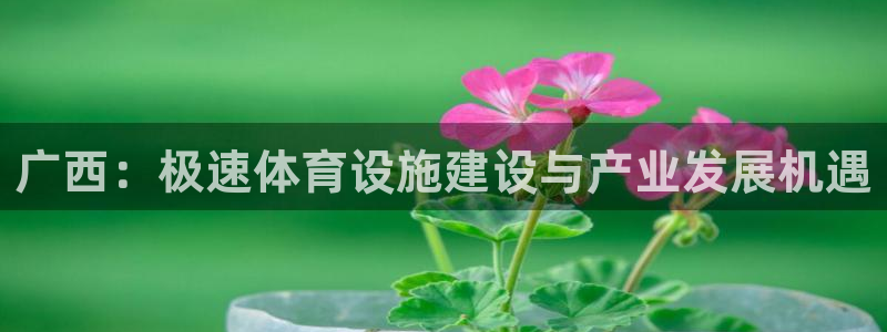 意昂4娱乐下载：广西：极速体育设施建设与产业发展机遇 