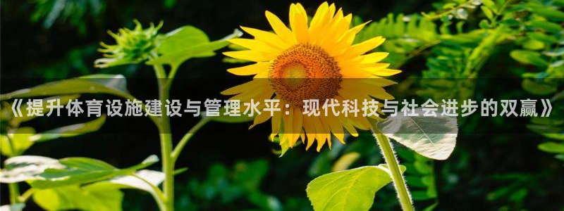 意昂4官网：《提升体育设施建设与管理水平：现代科技与