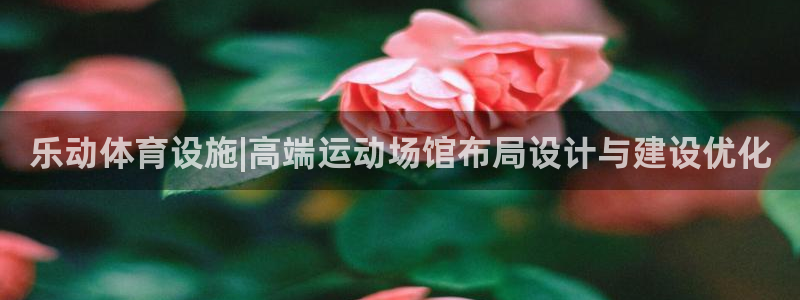 意昂4娱乐平台：乐动体育设施|高端运动场馆布局设计与建设优化